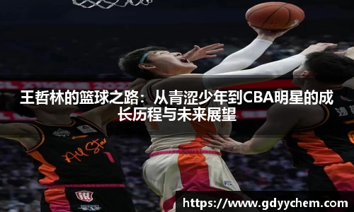 王哲林的篮球之路：从青涩少年到CBA明星的成长历程与未来展望