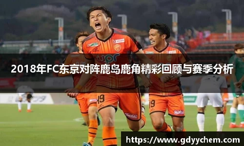 今年会官网