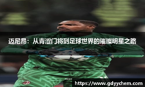 迈尼昂：从青涩门将到足球世界的璀璨明星之路